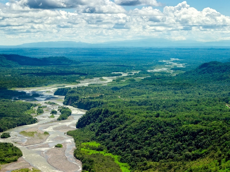 Waldgebiete Waldschutz Waldbewirtschaftung nachhaltige Biomasse